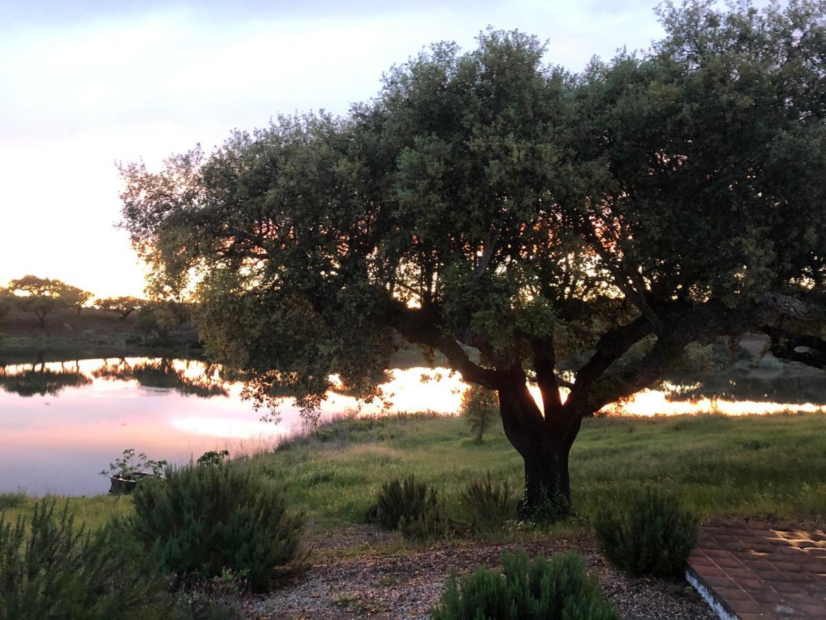 Fontes - A Essencia Do Alentejo Com Lago Privado レドンド エクステリア 写真