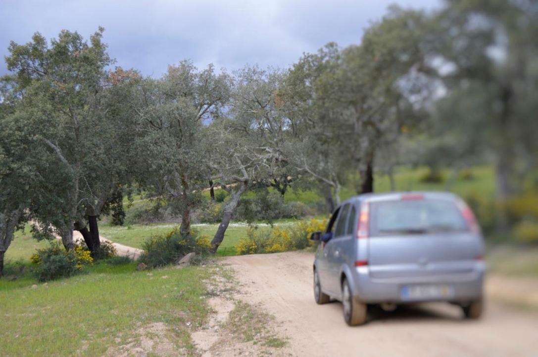 Fontes - A Essencia Do Alentejo Com Lago Privado レドンド エクステリア 写真